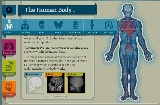 Trò chơi cơ thể người – Human Body Game